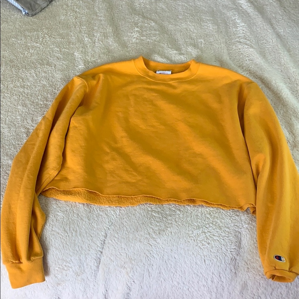champion sweatshirt